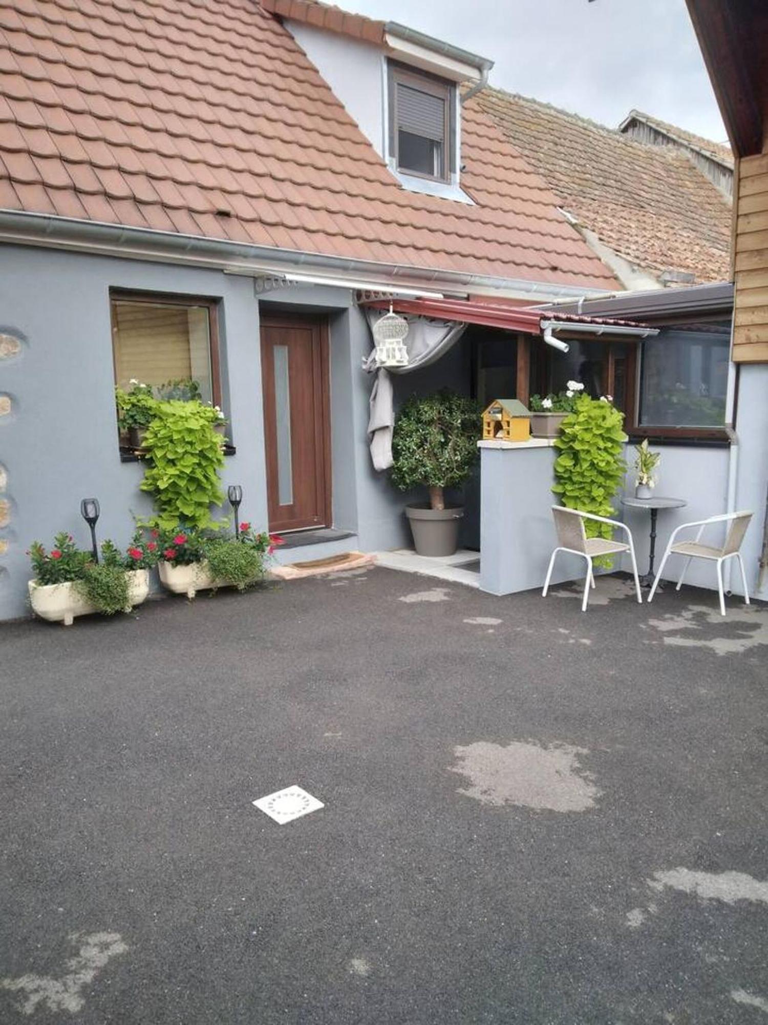 Appartement Cosy Wintzenheim + Terrasse Kültér fotó